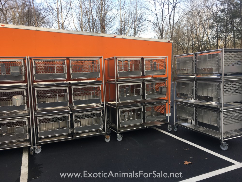 Stainless steel cages for Sale