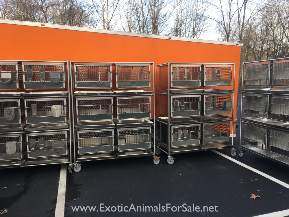 Stainless steel cages for Sale