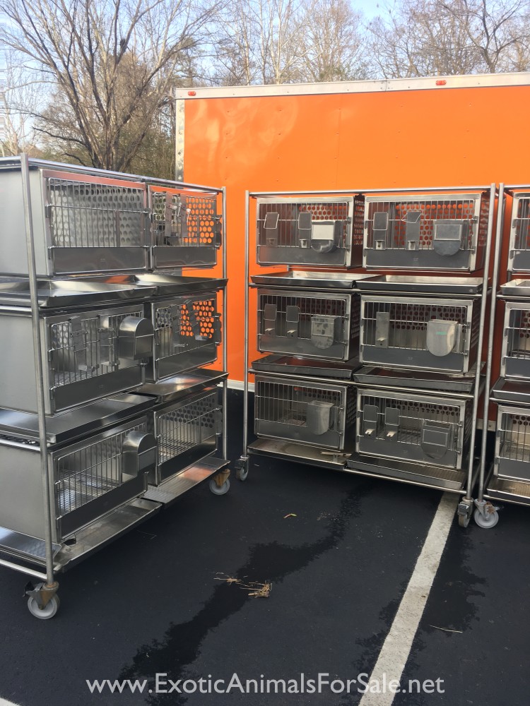 Stainless steel cages for Sale