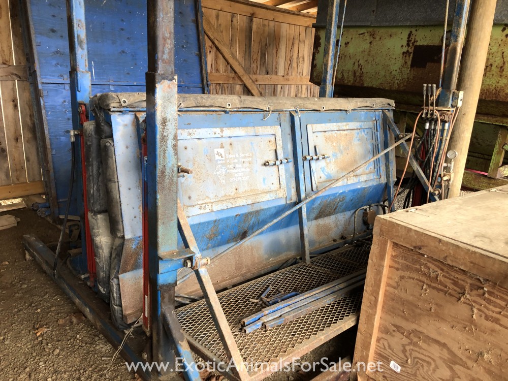 Squeeze chute for Sale