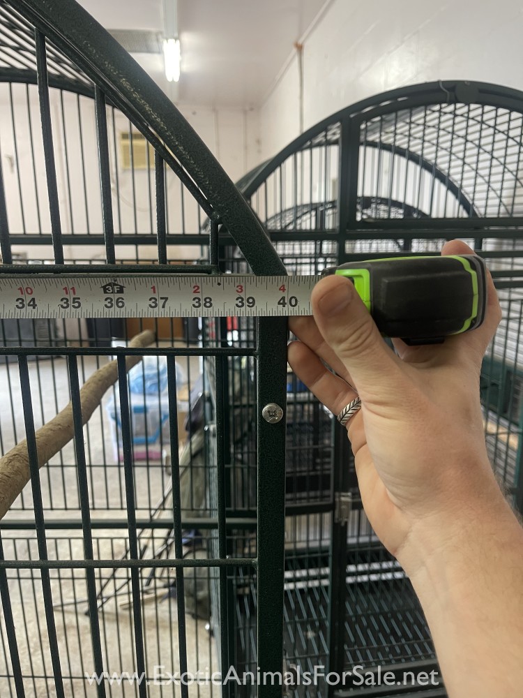 Macaw Cages for Sale