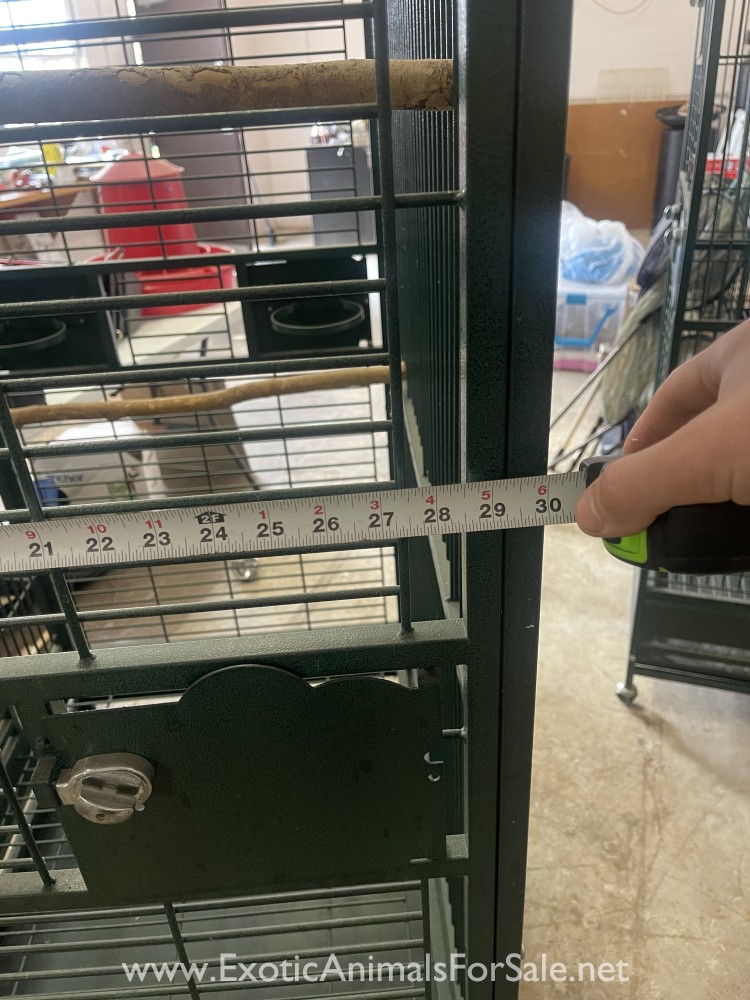 Macaw Cages for Sale