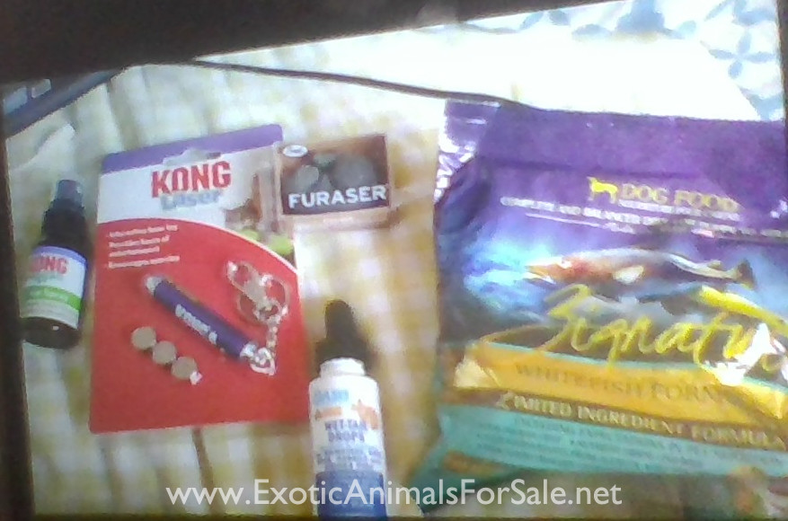 animal supplies for Sale