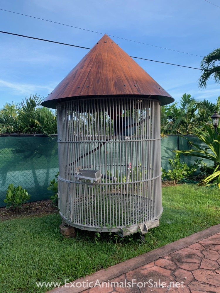 Gallery Detail: Aluminun Bird Cages For Sale